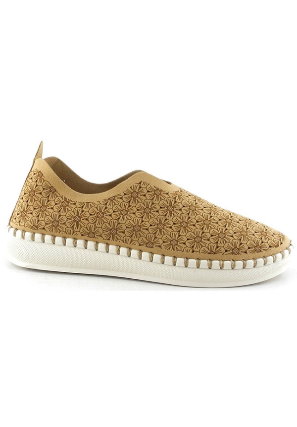 28354 CAMEL AMARPIES 