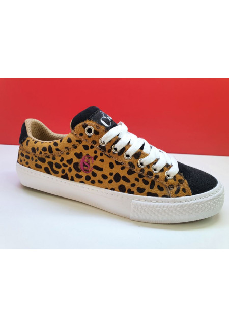 JHONY COLOSI LLEOPARD 