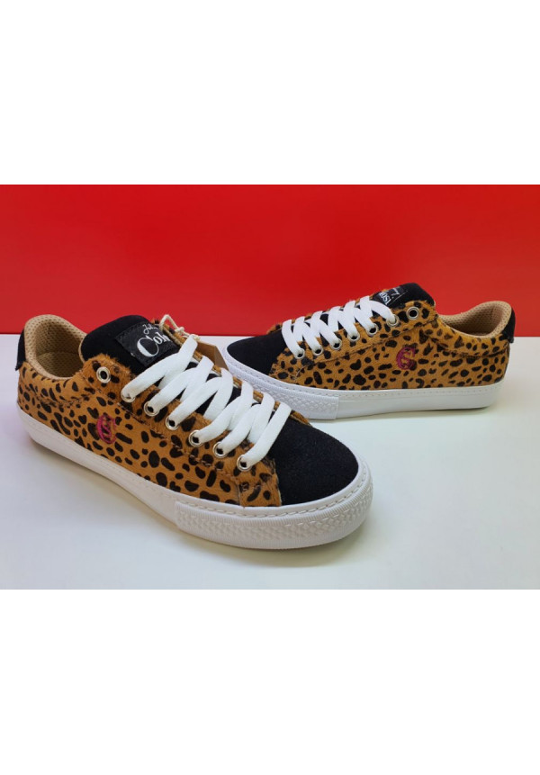 JHONY COLOSI LLEOPARD 