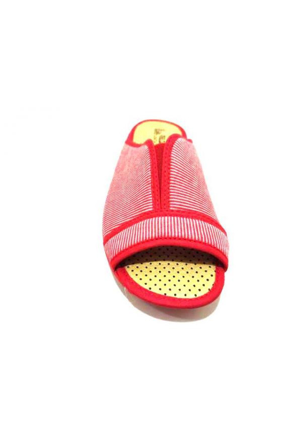 736 ROJO VULCA-BICHA  
