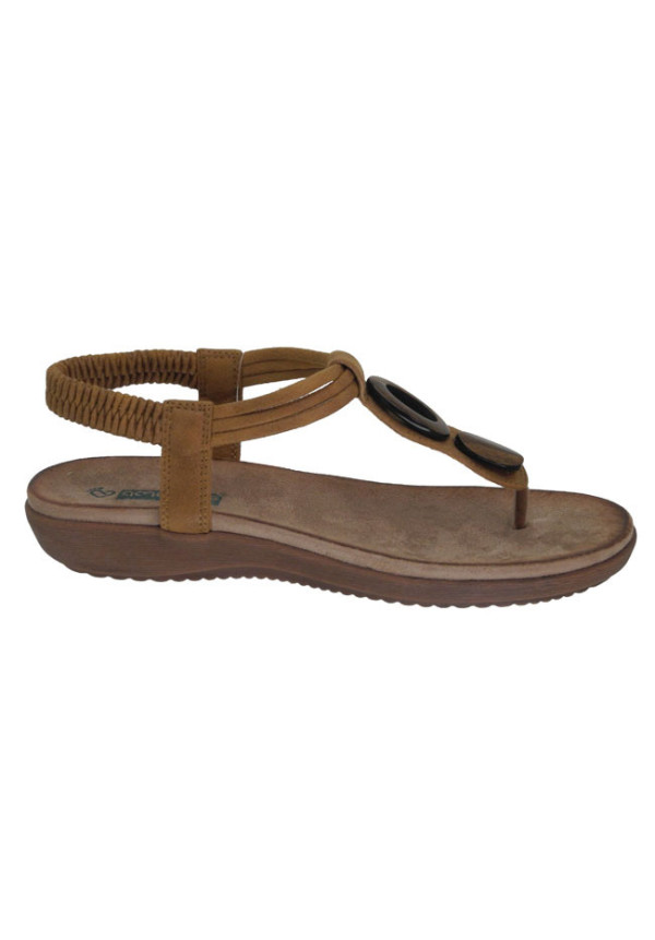 17063 BRONCE AMARPIES 