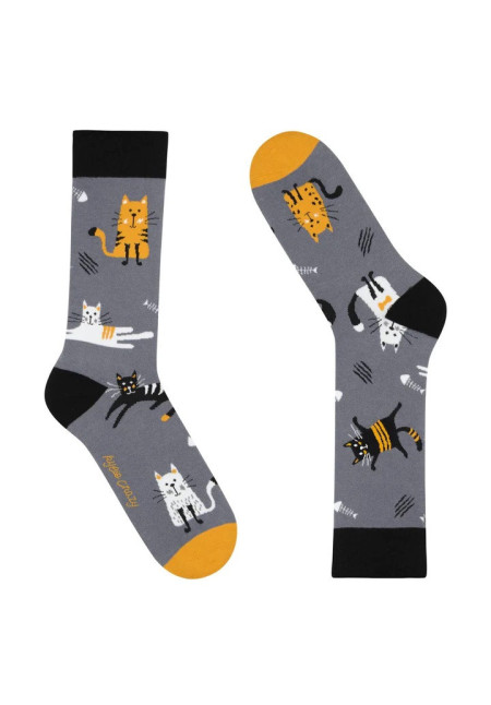 KYLIE CRAZY CALCETINES GATOS C220150 