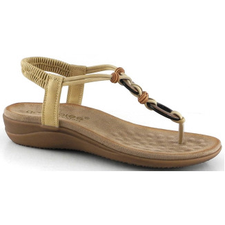 28687 CAMEL AMARPIES