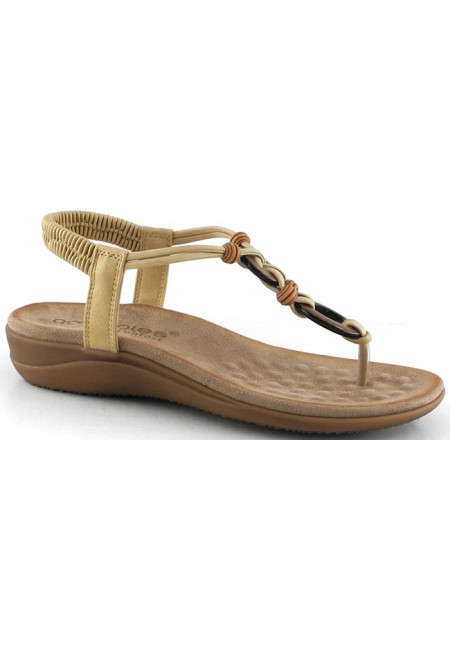 28687 CAMEL AMARPIES
