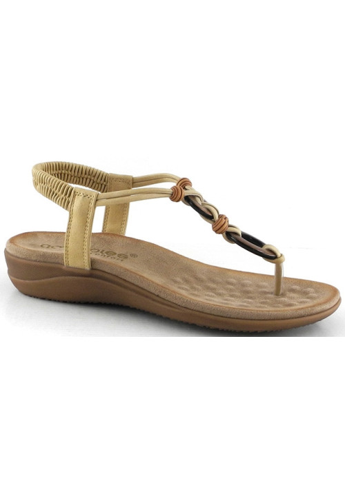 28687 CAMEL AMARPIES
