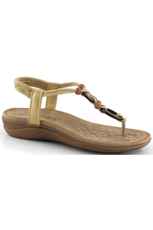 28687 CAMEL AMARPIES