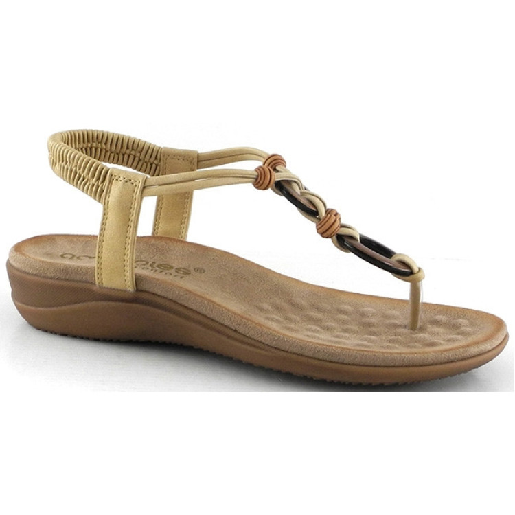 28687 CAMEL AMARPIES