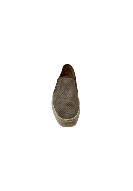 50312 FANGO MEDITERRANEA