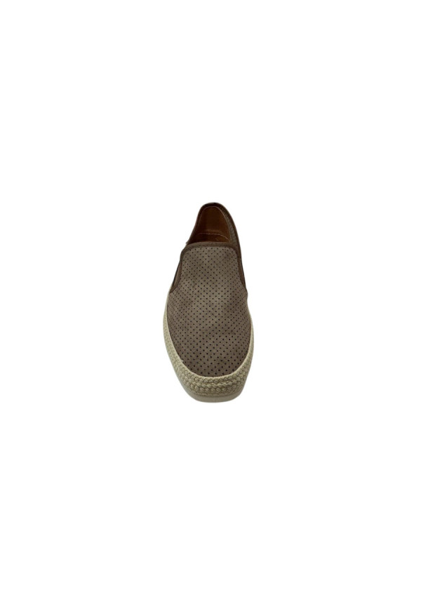 50312 FANGO MEDITERRANEA