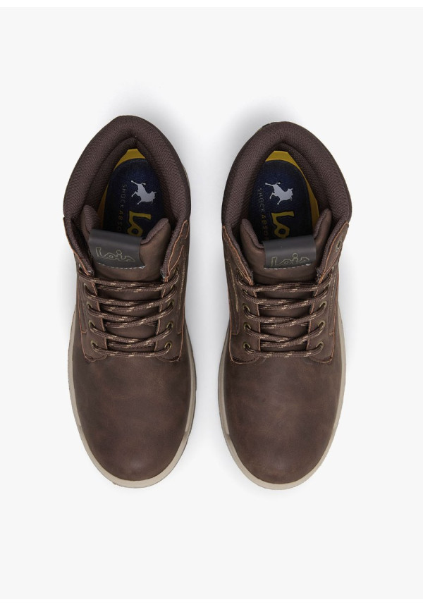 64558 MARRON LOIS