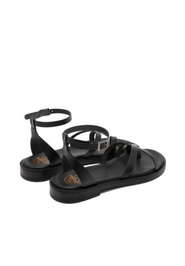3230 NEGRO PORRONET 