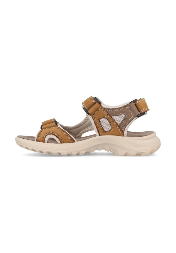 BANYOTES VP22176 CAMEL PAREDES
