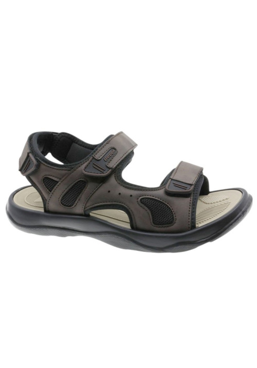 2222662 BROWN BEPPI